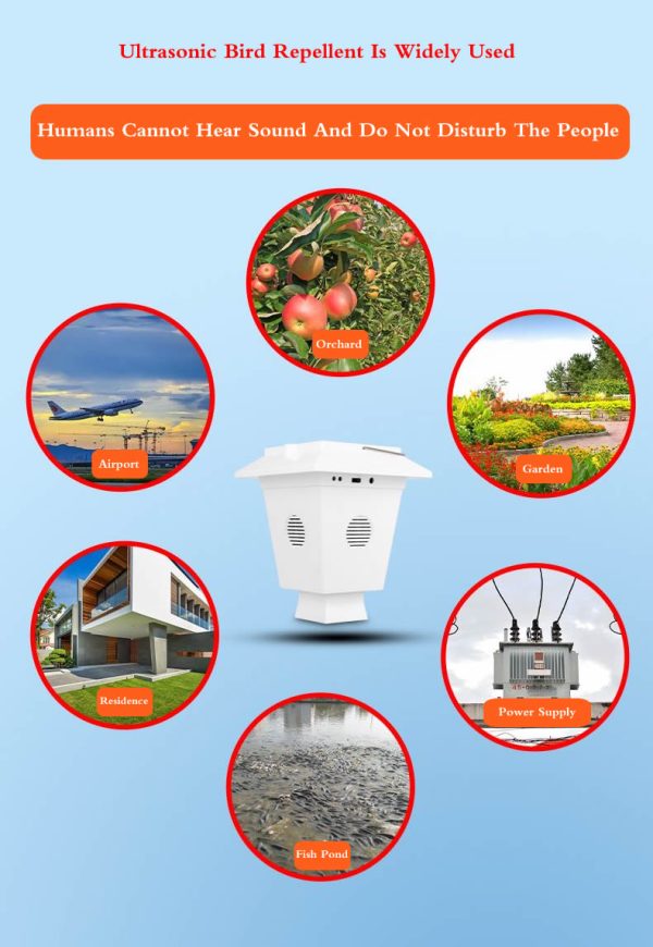 Ultrasonic Bird Repellent-Humans Cannot Hear Sound - Image 4